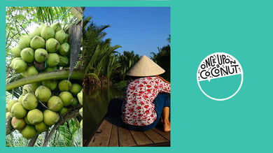 Young vs. Mature Coconuts: The Battle of the Flavors – Once Upon A Coconut