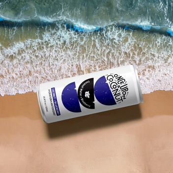 Blueberry Magic Premium Coconut Water + Blueberry – Once Upon A Coconut