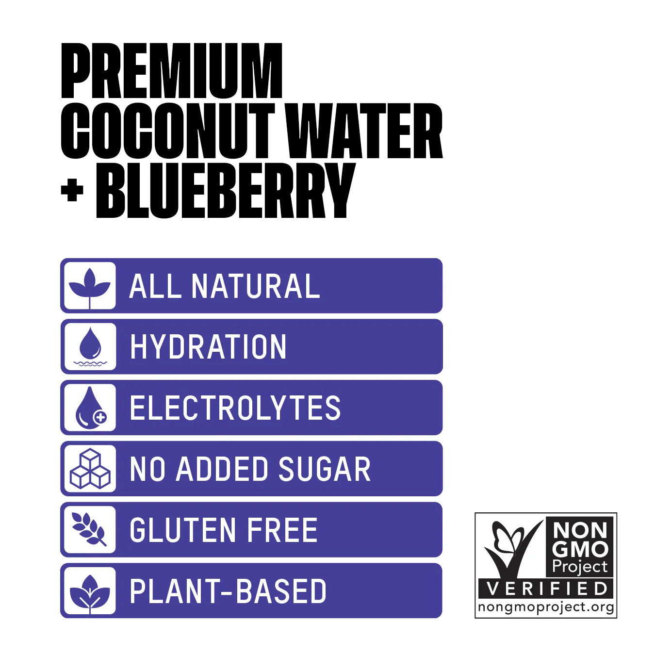 Premium Coconut Water + Blueberry